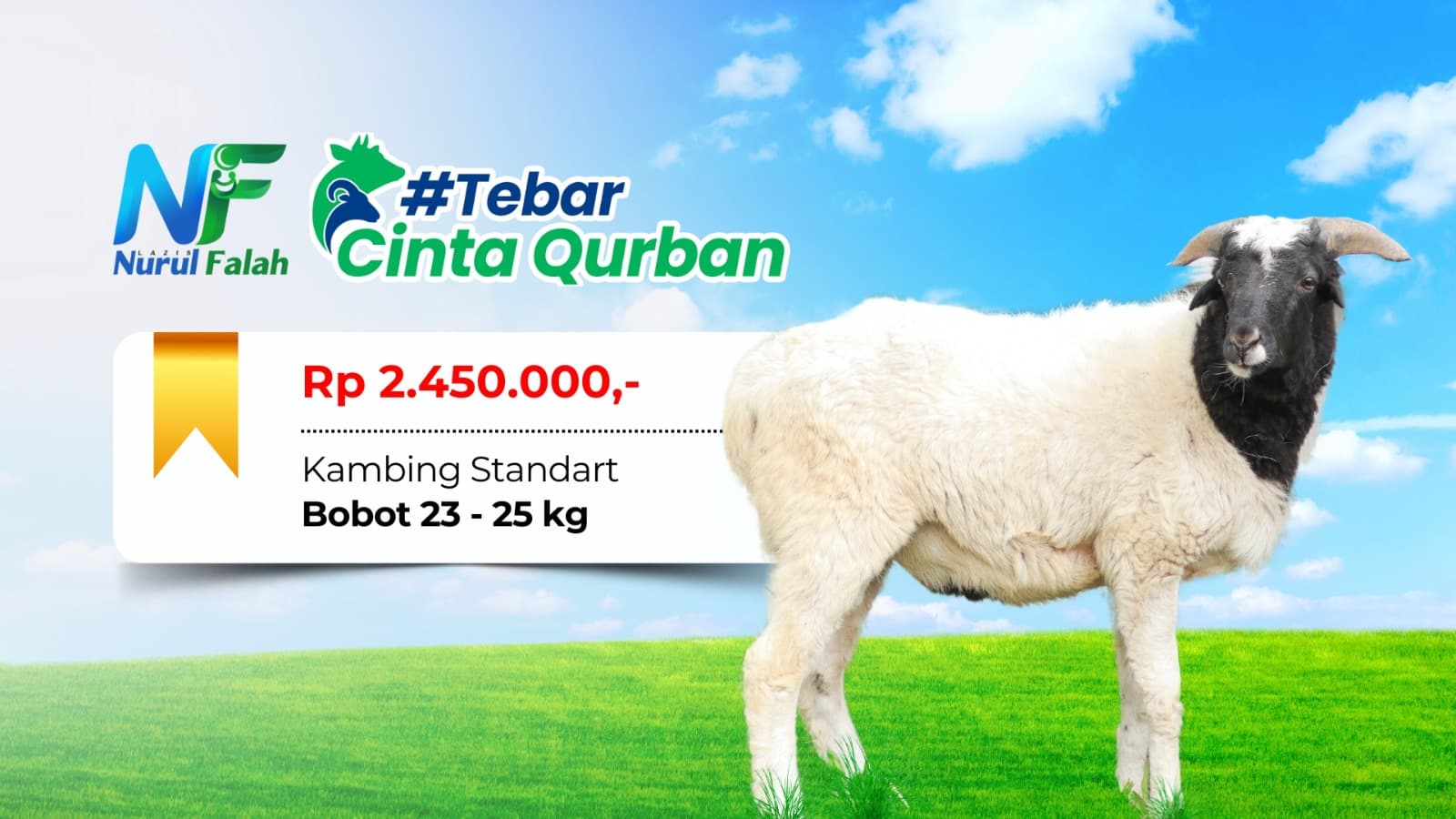 Kambing Kurban Standart