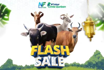 Flash Sale Kambing & Sapi
